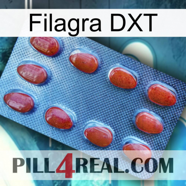 Filagra DXT 06.jpg